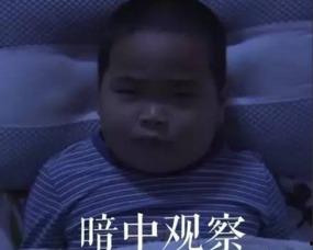 网红表情包小胖子,萌态可掬,笑点满满