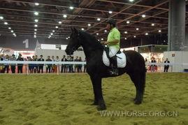 马博照片,光影中的独特魅力