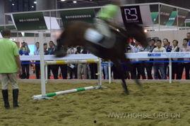 马博照片,光影中的独特魅力