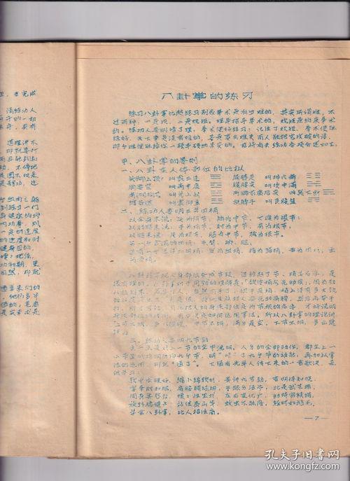 八卦掌歌曲,探寻传统武术与现代音乐的完美融合