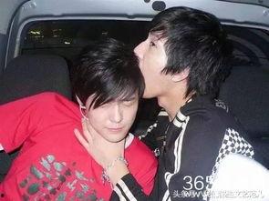 娱乐圈多少男同,娱乐圈男同现象解析