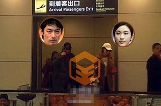 中韩娱乐爆料,独家爆料揭秘明星幕后故事